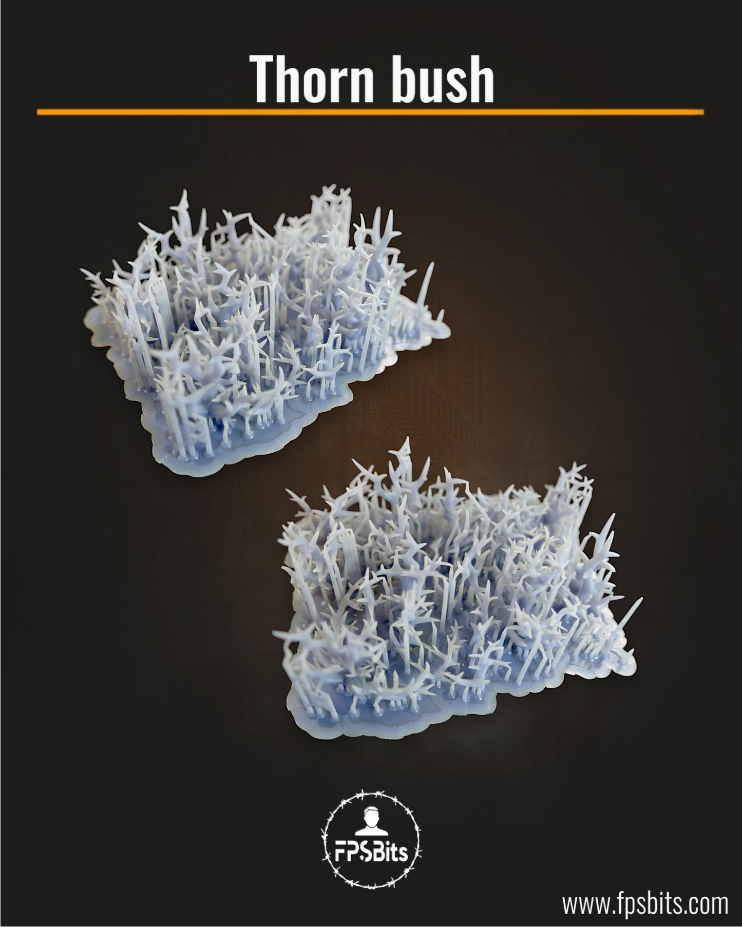 Thorn bush