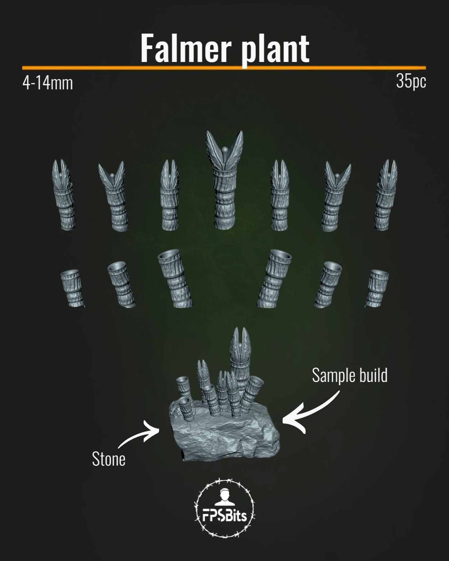 Falmer Pflanze