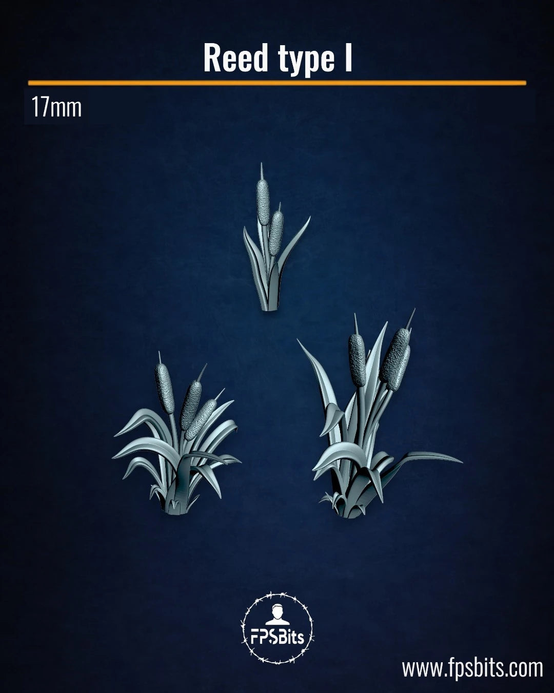 Schilf Typ 1